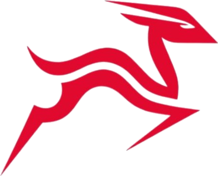 لوگوی تیم جیران